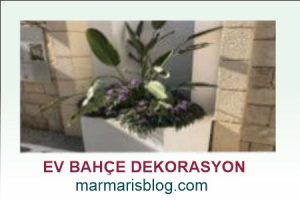 Bahçe Dekorasyon