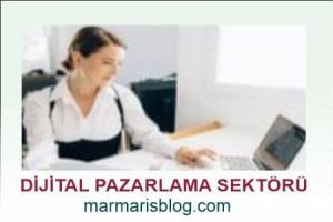 Dijital Pazarlama Sektörü