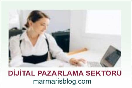 Dijital Pazarlama Sektörü