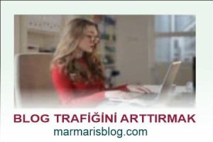 Blog