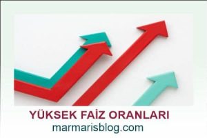 Faiz Oranları
